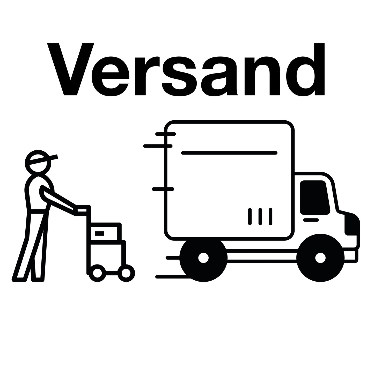 SWISS CYCLING ALPENBREVET Versandkosten