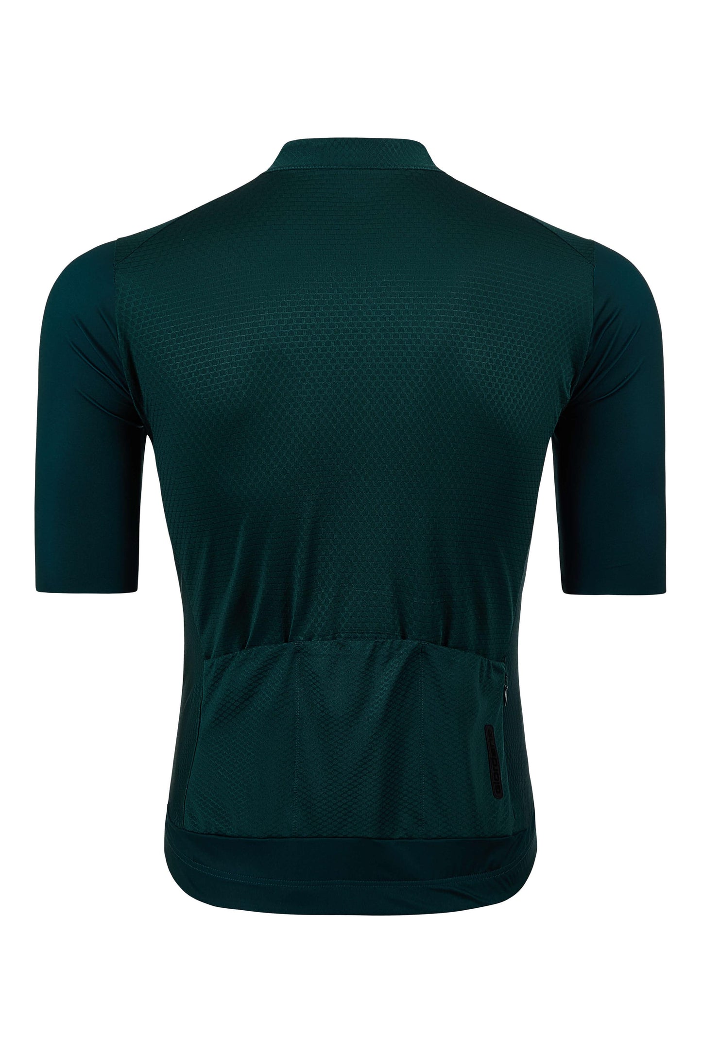 Men's FR-C Pro Jersey somkey sage