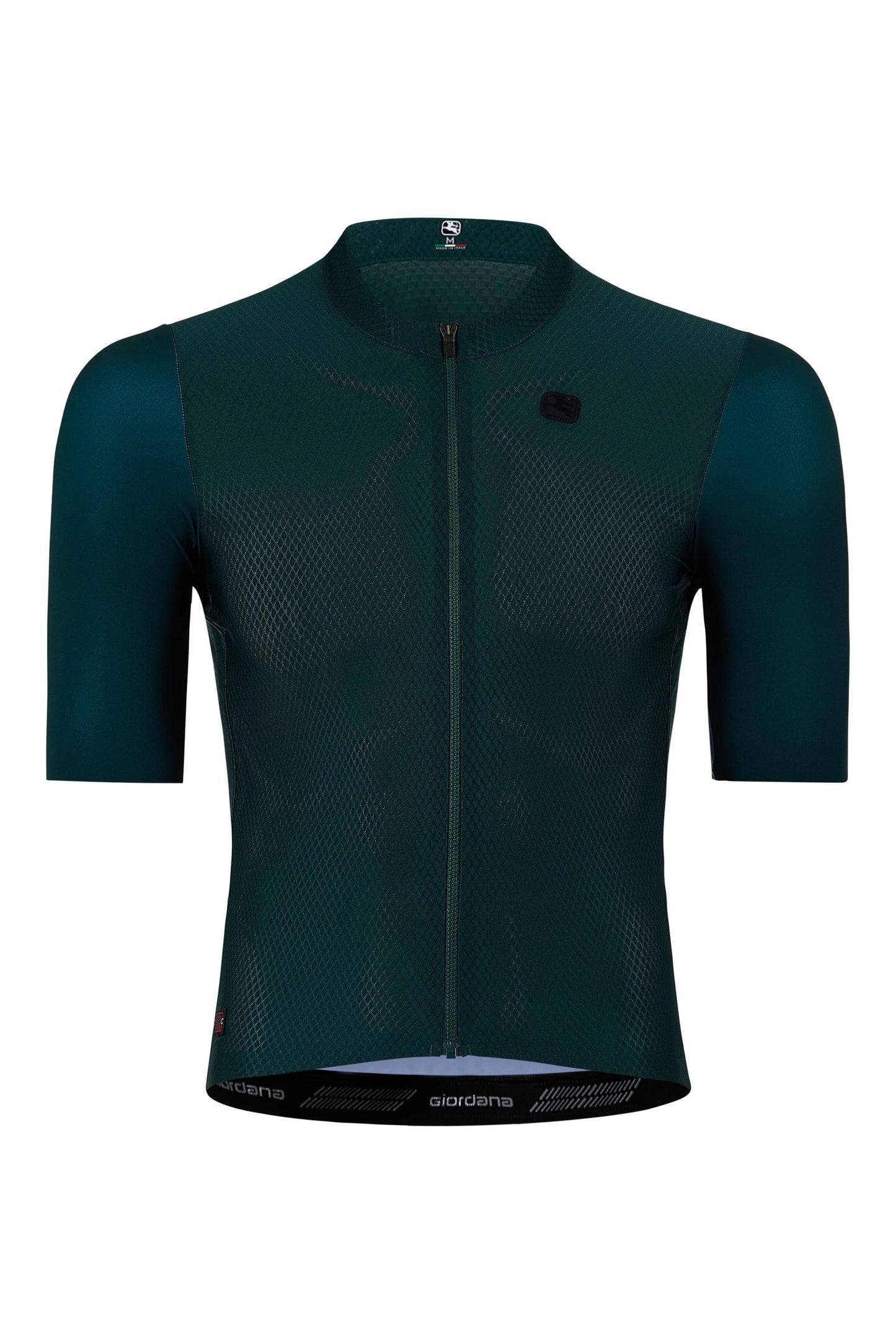 Men's FR-C Pro Jersey somkey sage