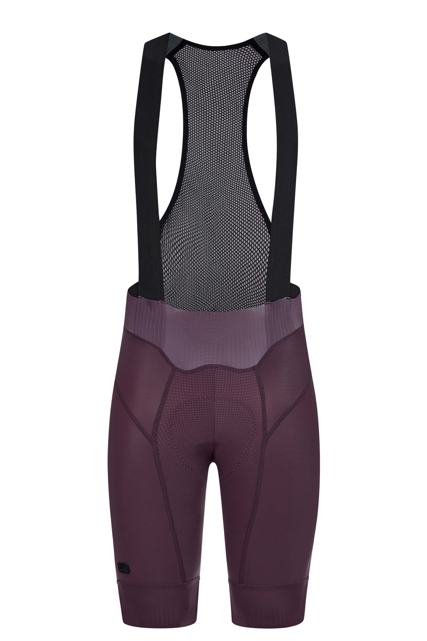 FR-C PRO Men Trägerhose piemonte purple