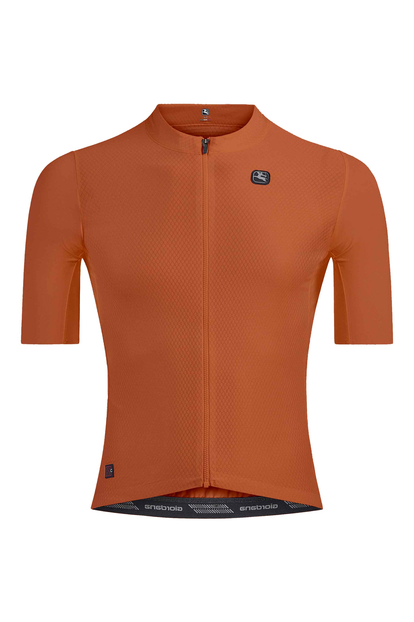 Men's FR-C Pro Jersey somkey sage